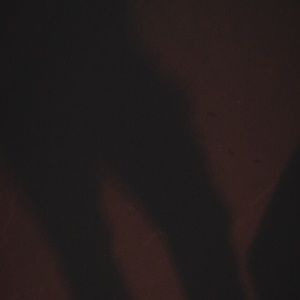 Meet your Posher, Deshon